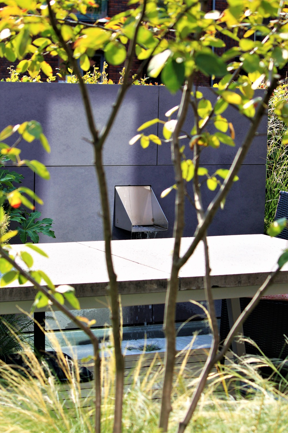 struik in tuin