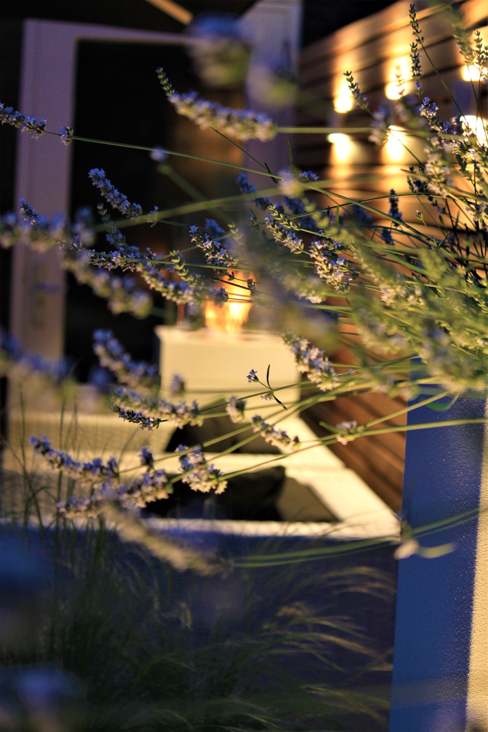 bloemen in stadstuin