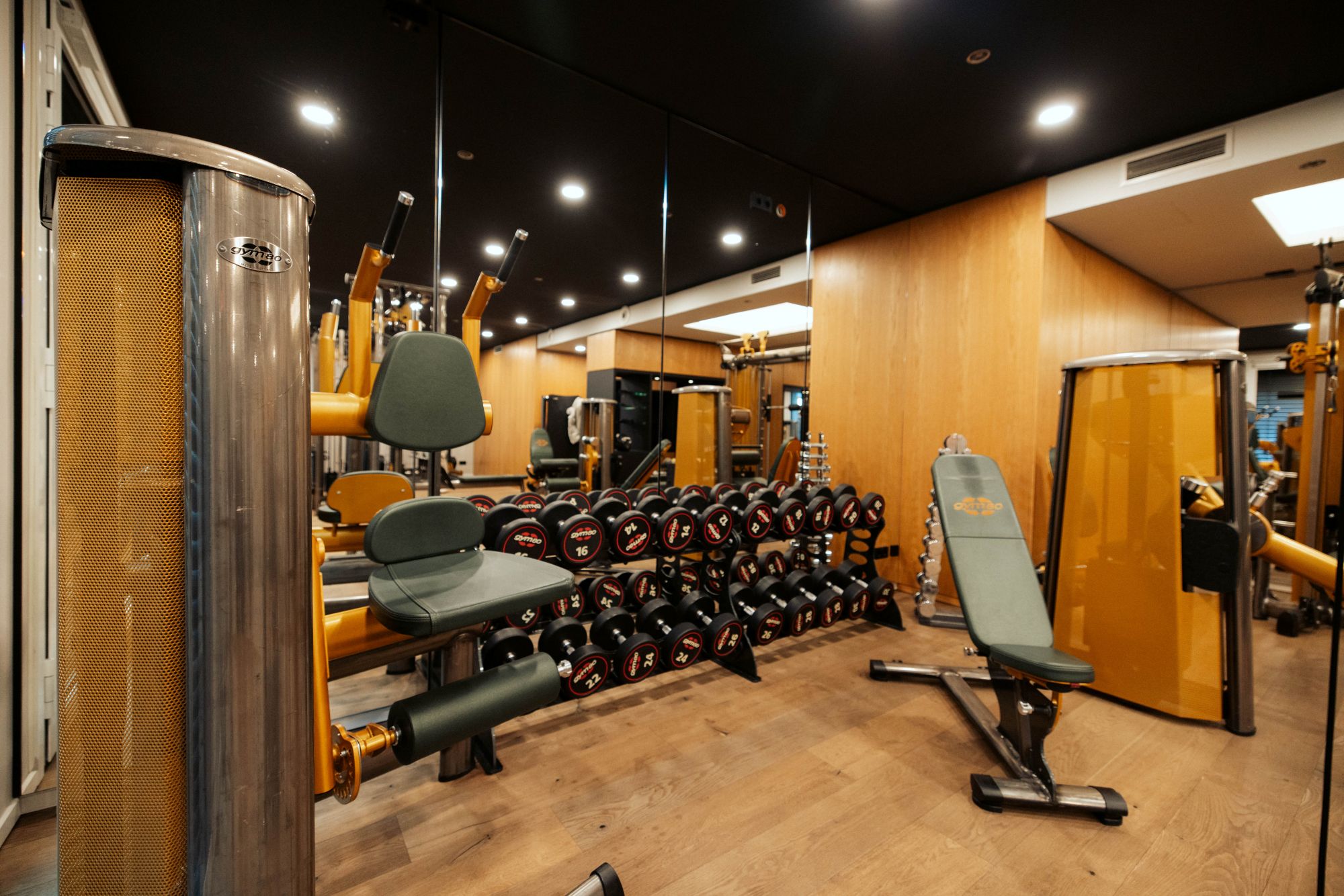 luxe gym