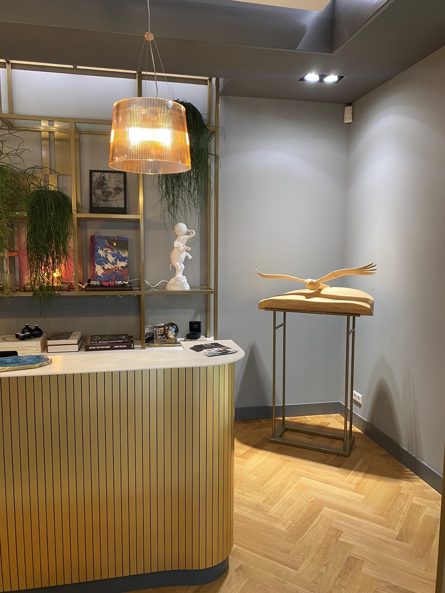 luxe balie met design kast