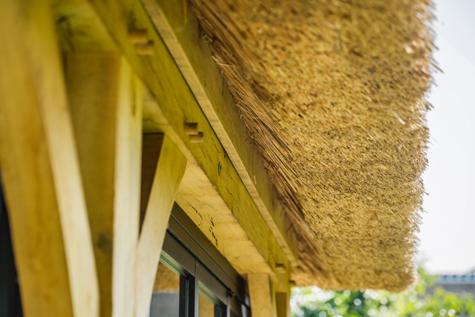 details houten bijgebouw