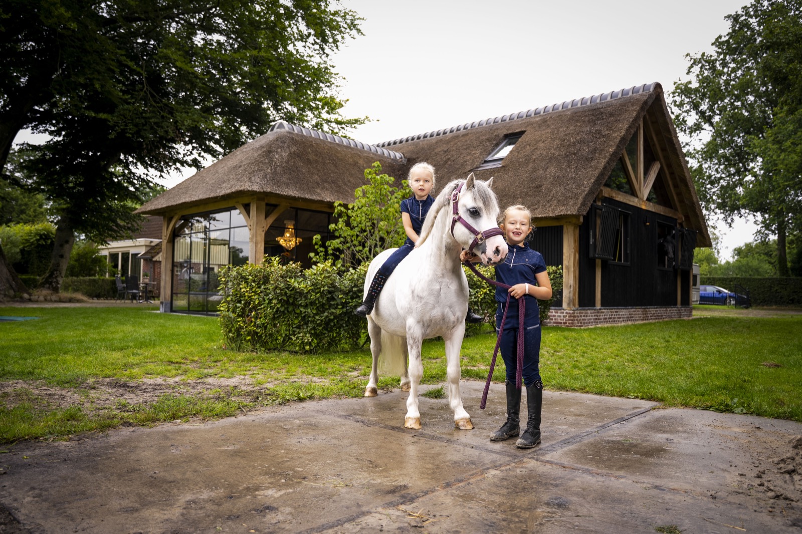 paardenstal met rieten dak