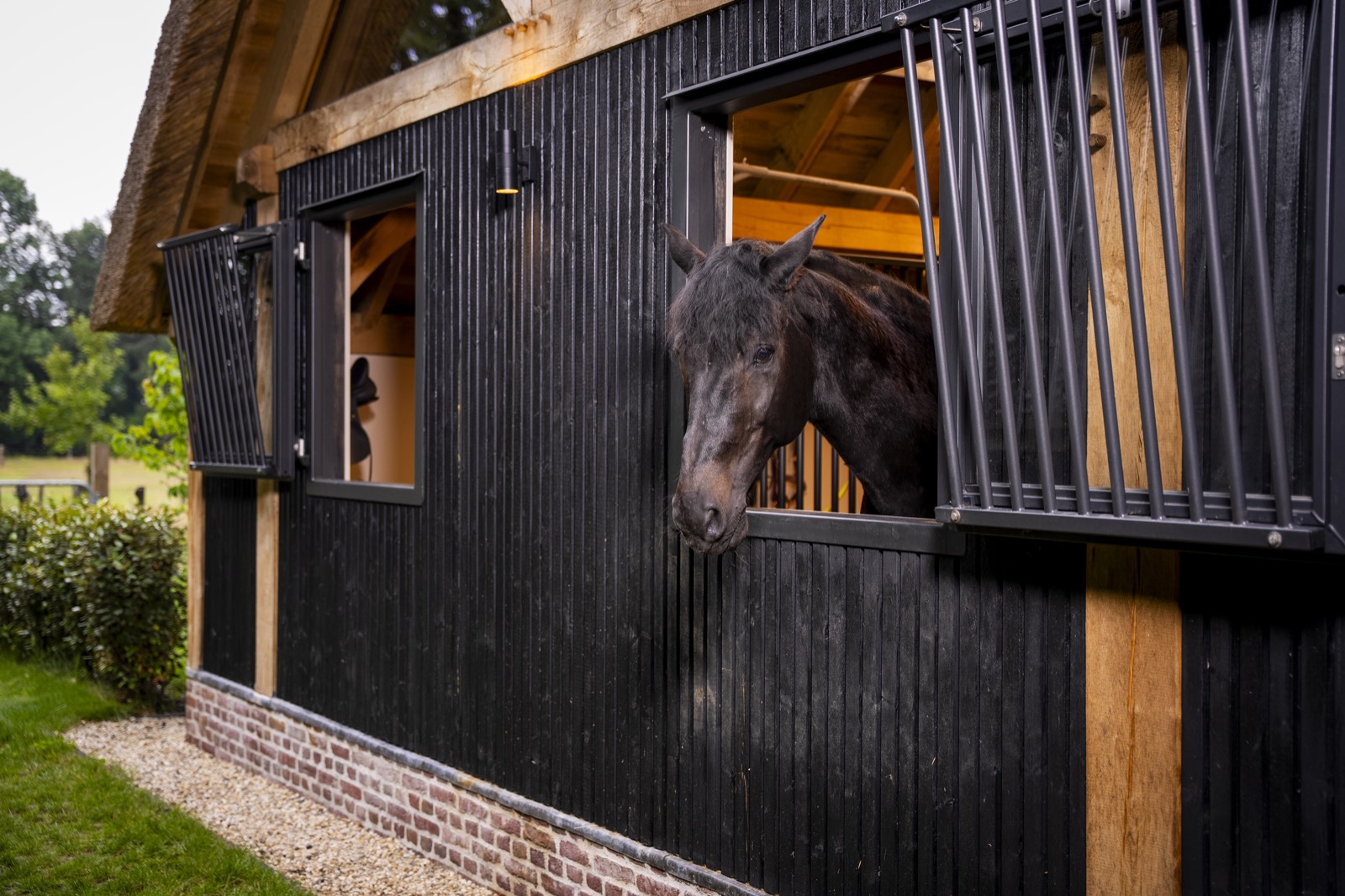 eiken paardenstal