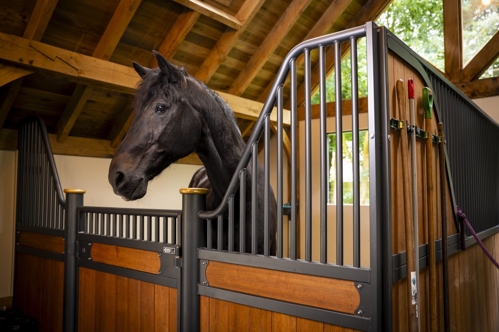 luxe stal voor paarden