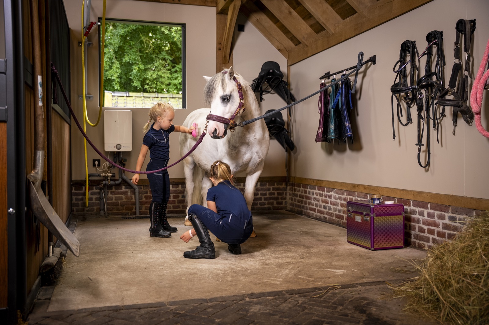 paardenstal luxe 