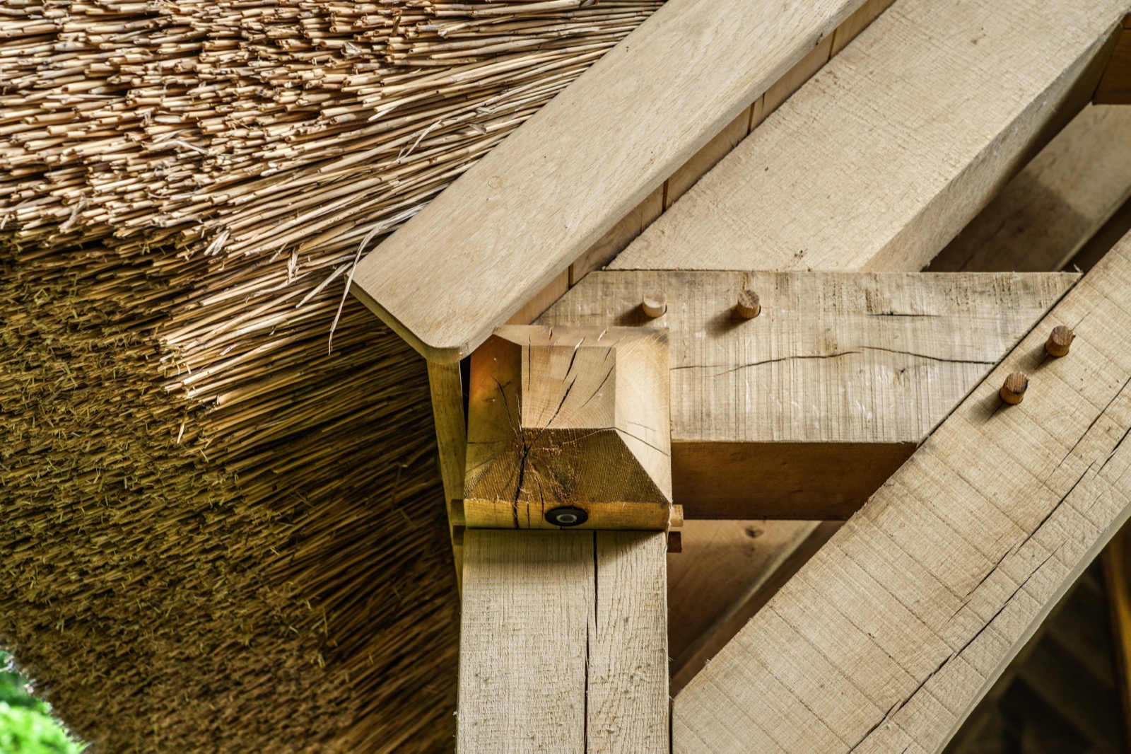 details houten bijgebouw