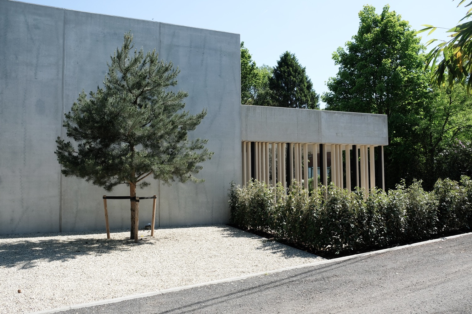 moderne villa met boom
