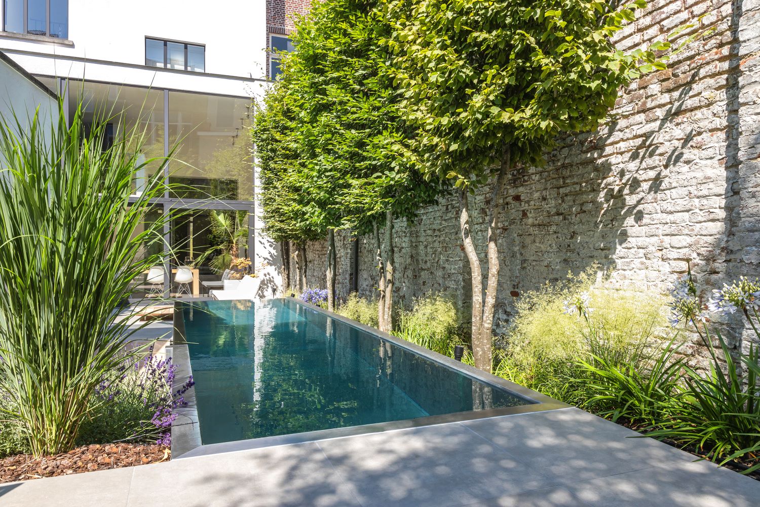 luxe tuin met zwembad