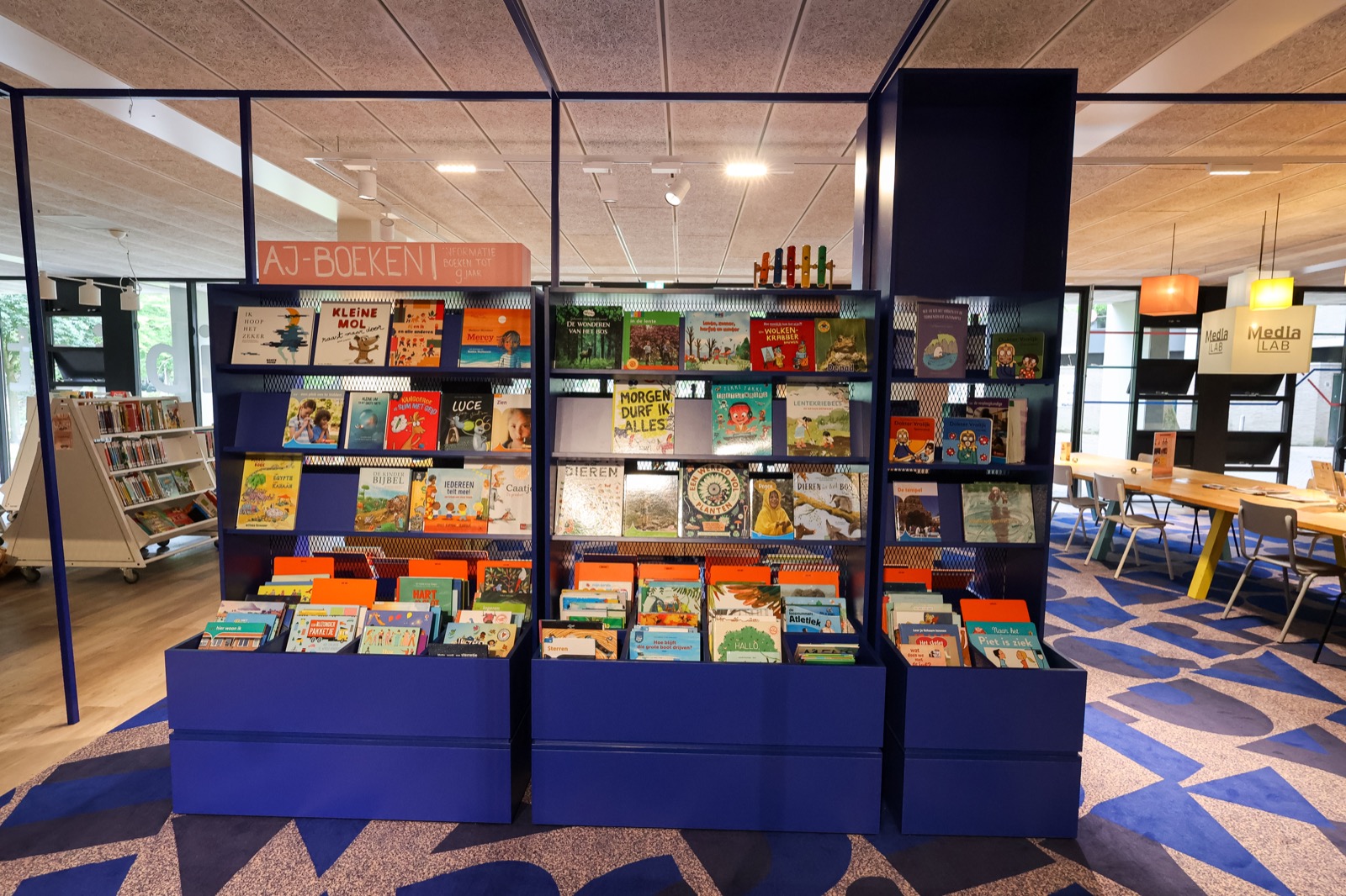 luxe interieurbouw bibliotheek