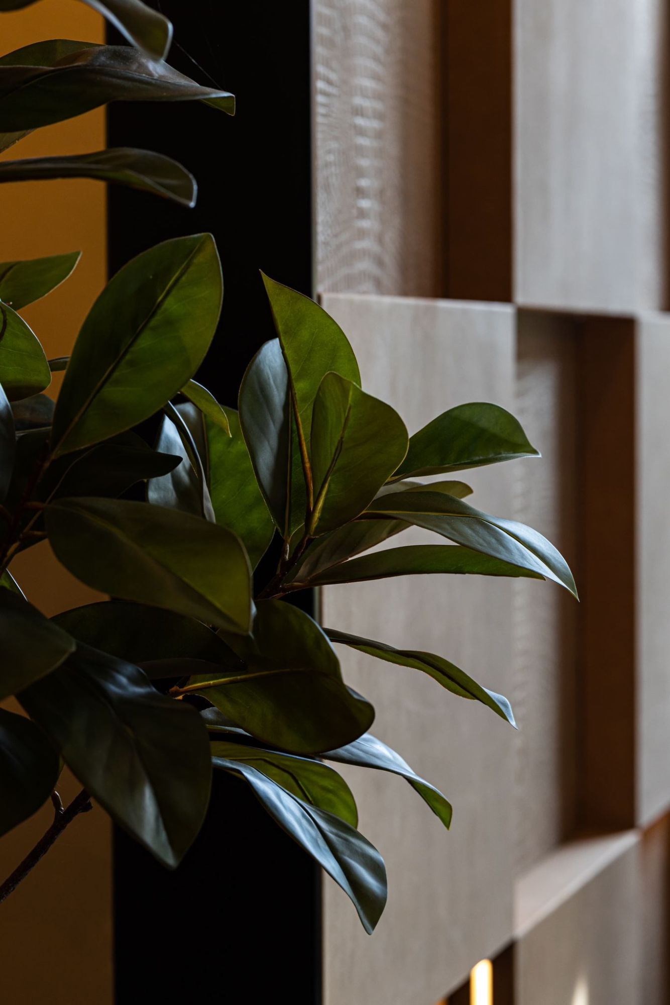 akoestische oplossing