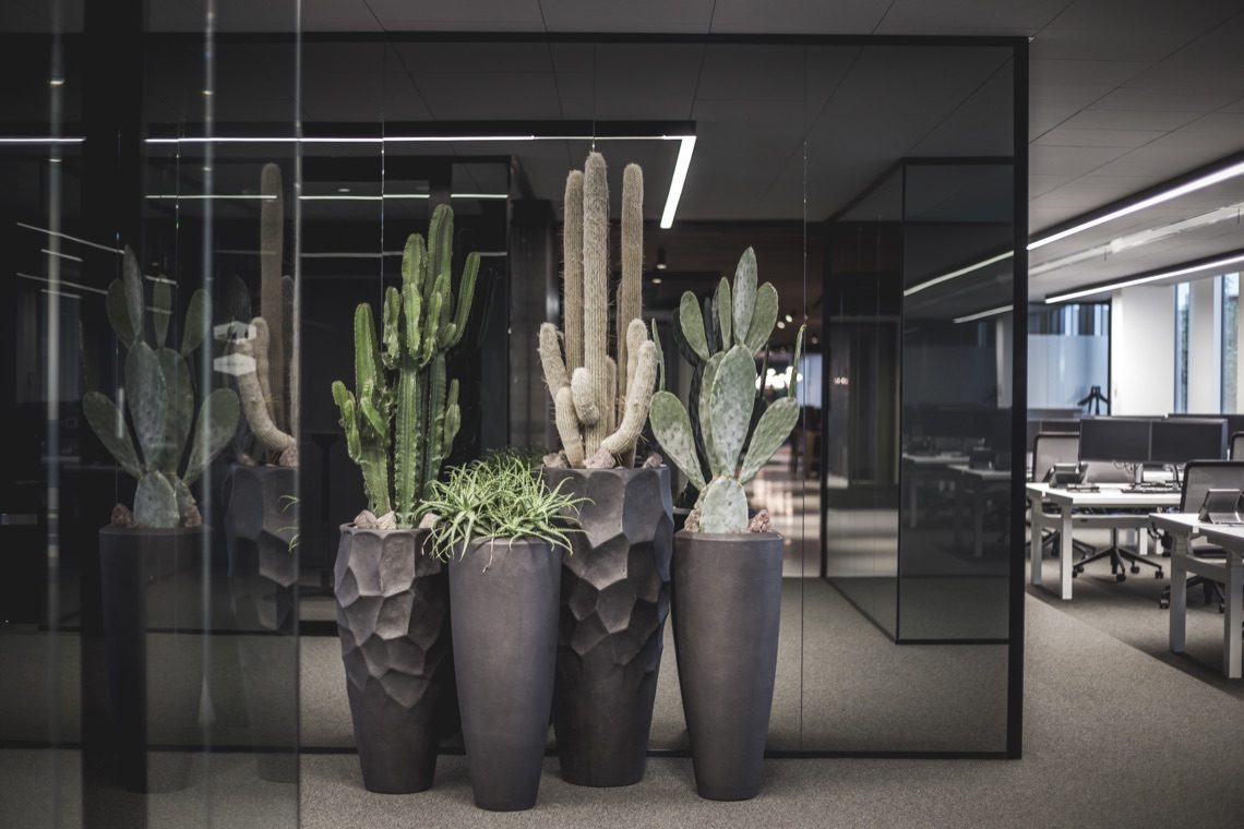 interieurbeplanting