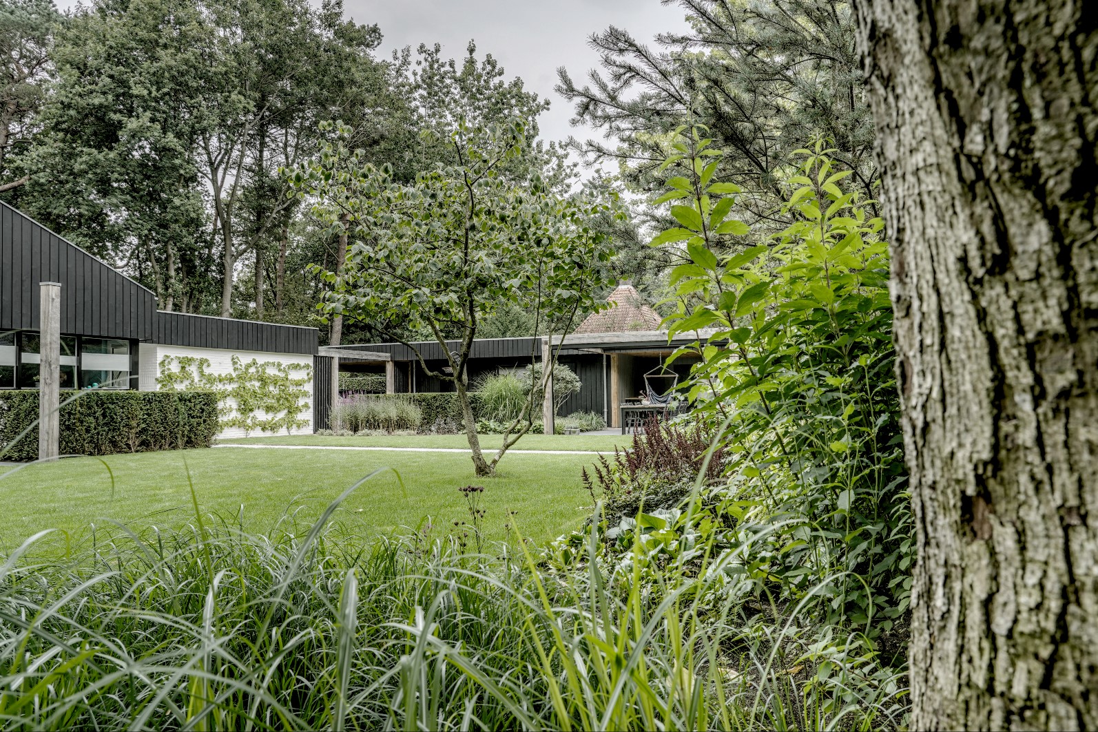 gazon in tuin