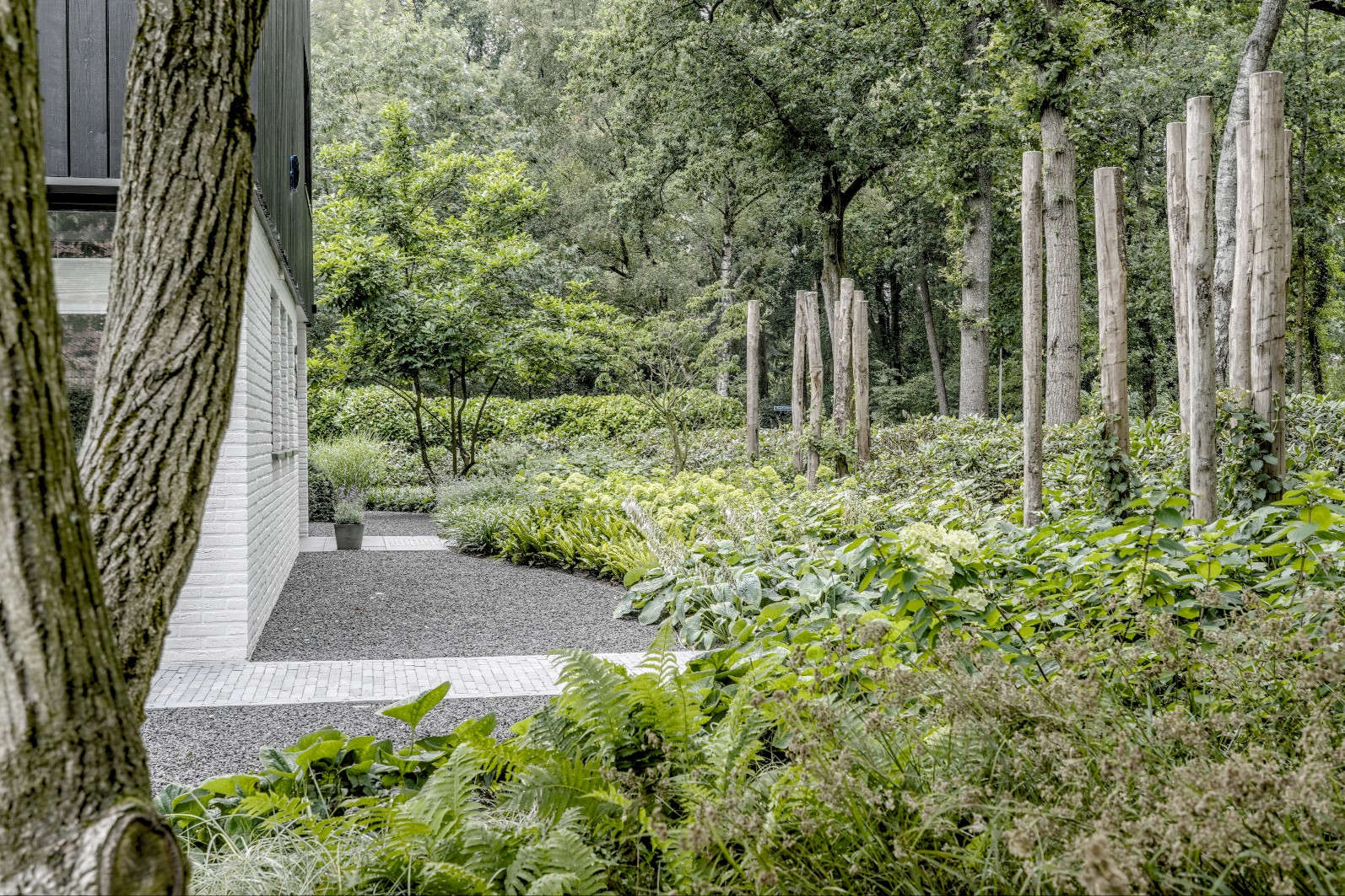 tuin met bomen