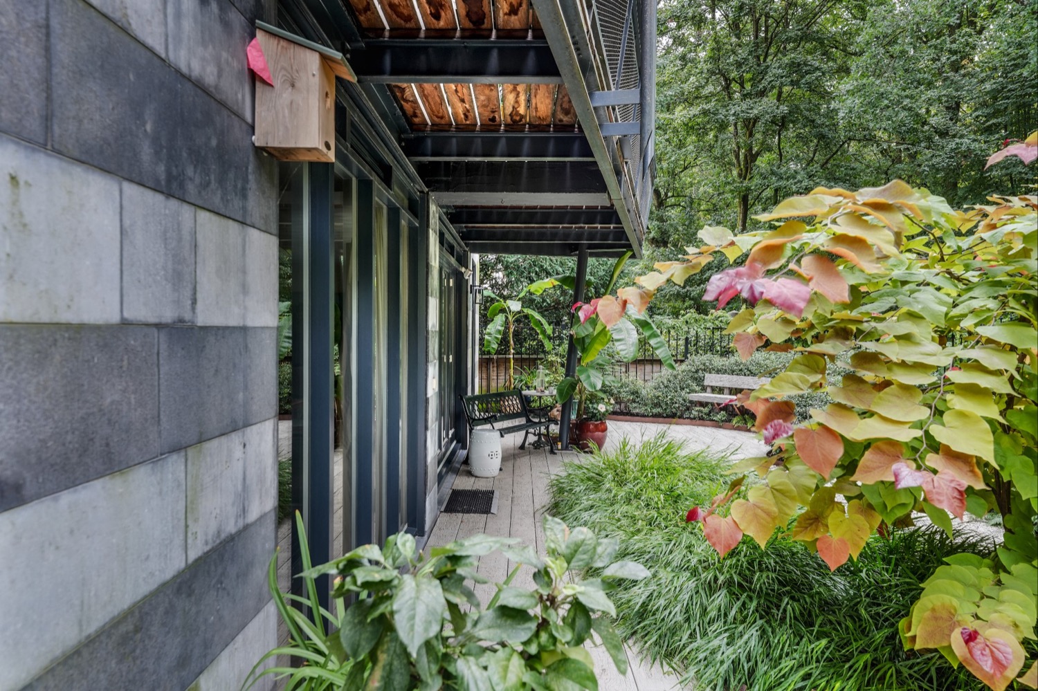 tuin met veel planten