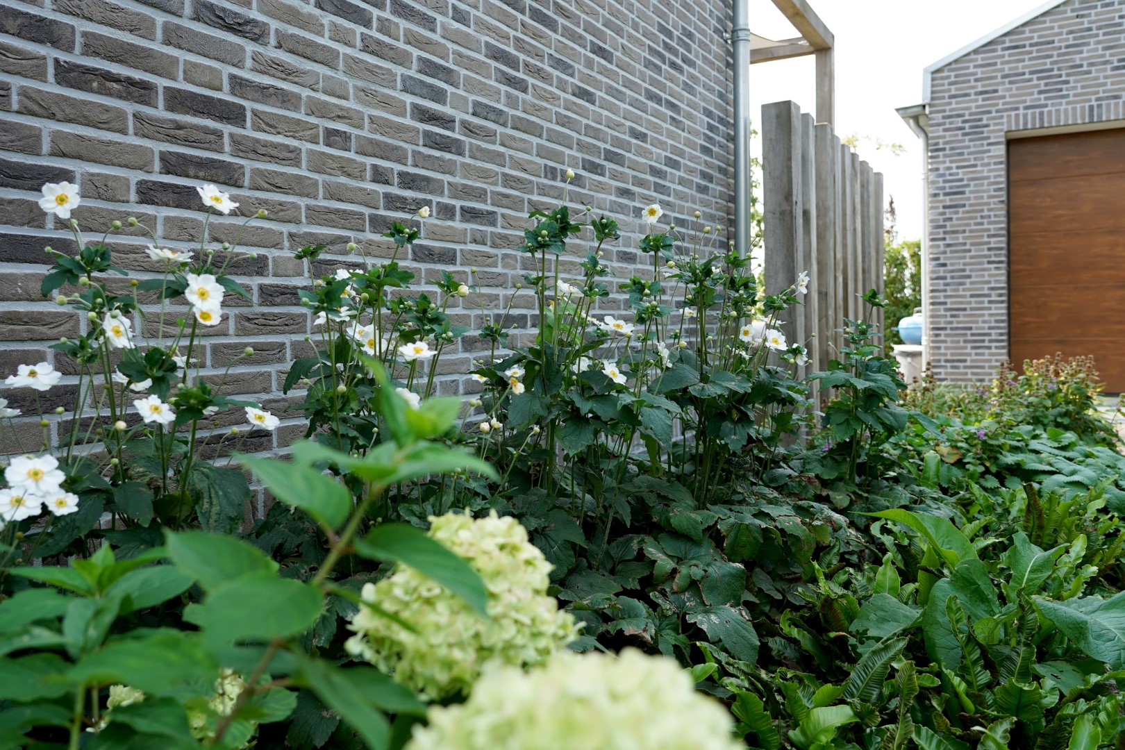 planten langs huis