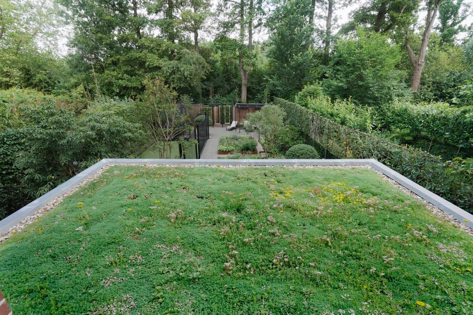 groen dak