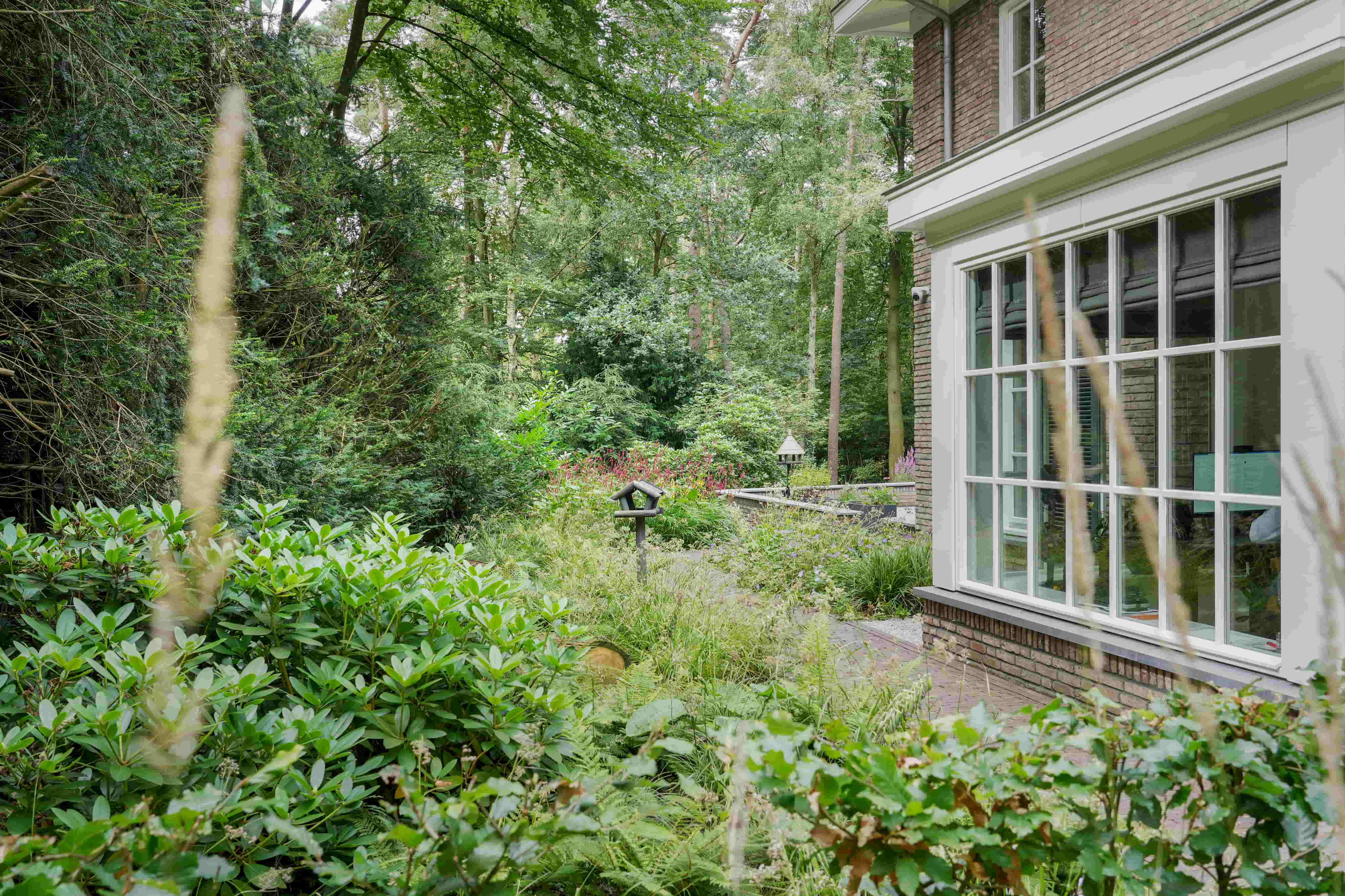 groene tuin