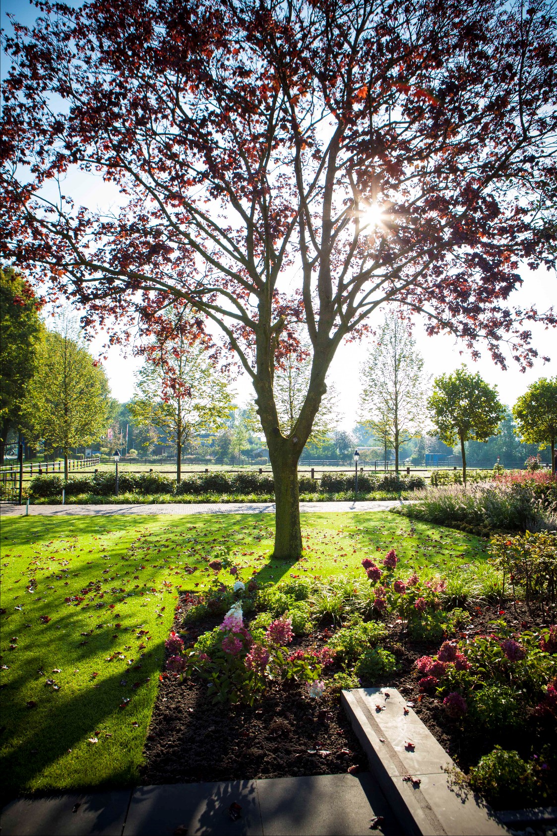 landelijke villatuin