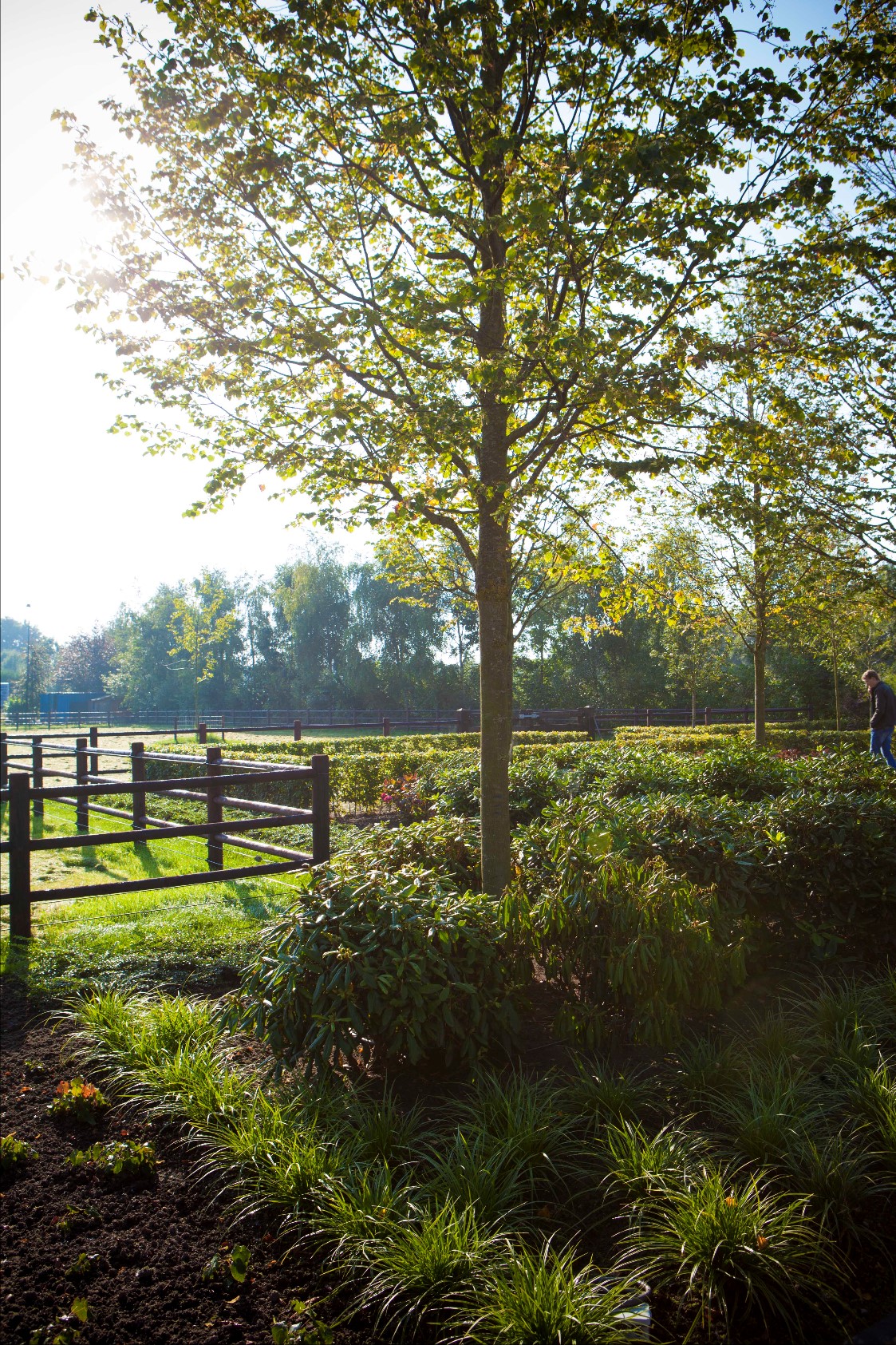 moderne landelijke tuin
