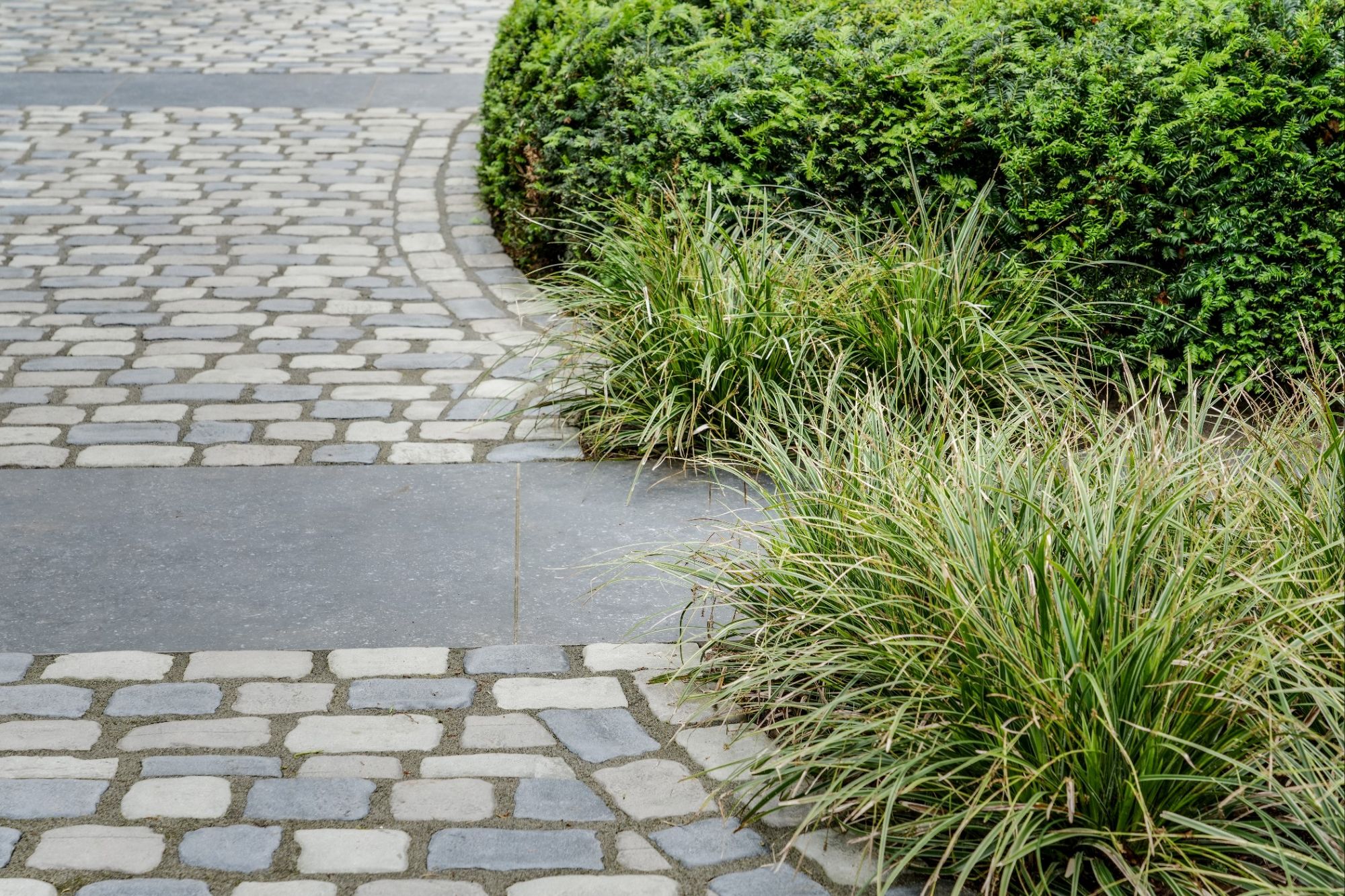 close up stenen in tuin