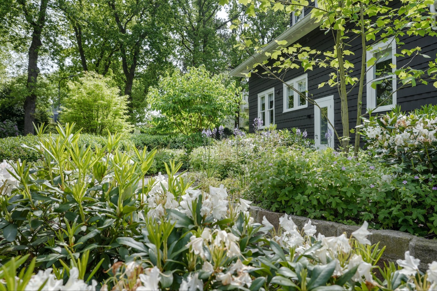 kleurige tuin