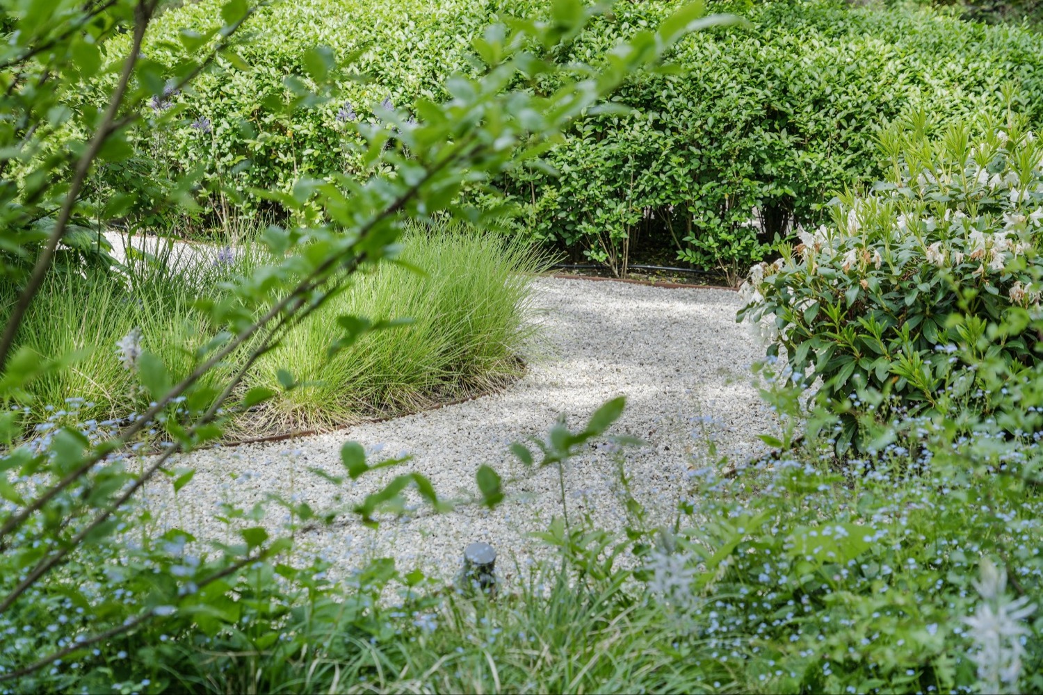 groene border