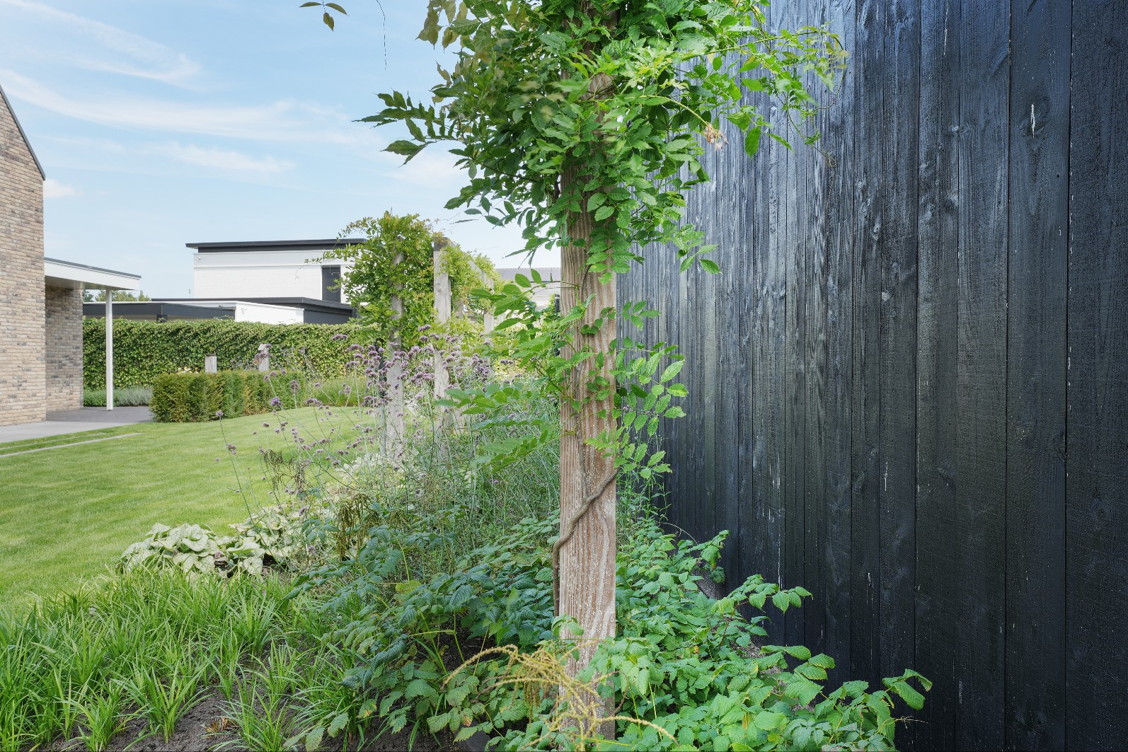 tuin met zwarte schutting