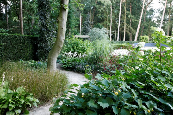 groene tuin