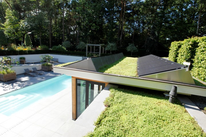 groen dak
