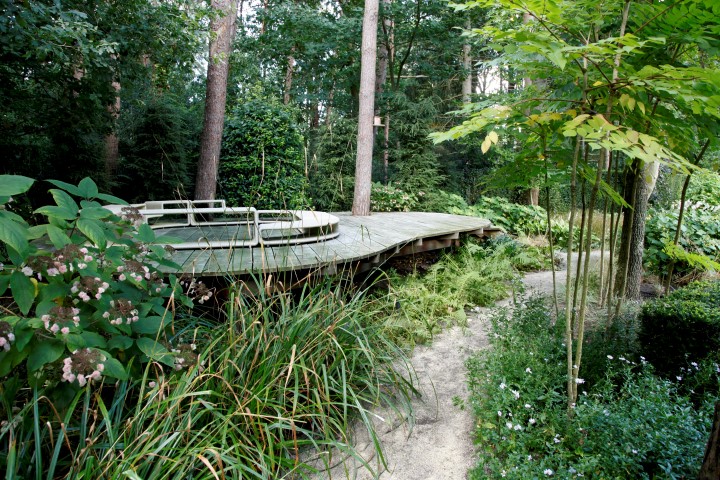 tuinpad met planten