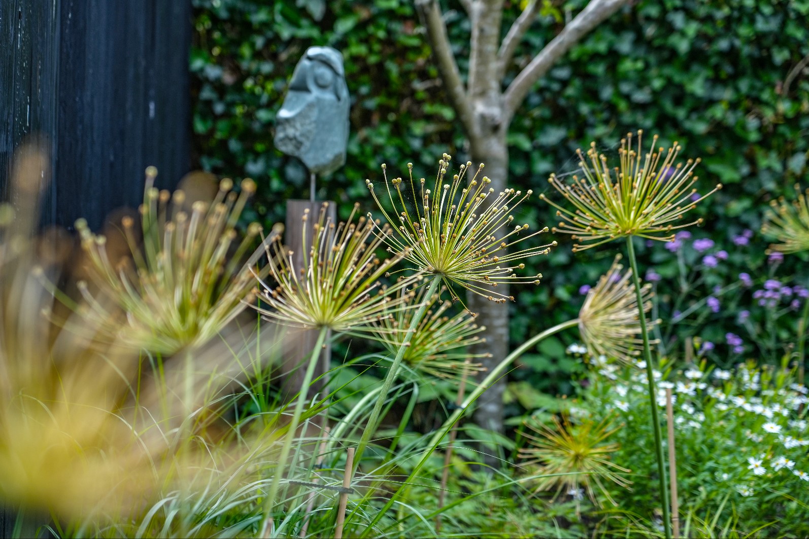 bloemen in tuin