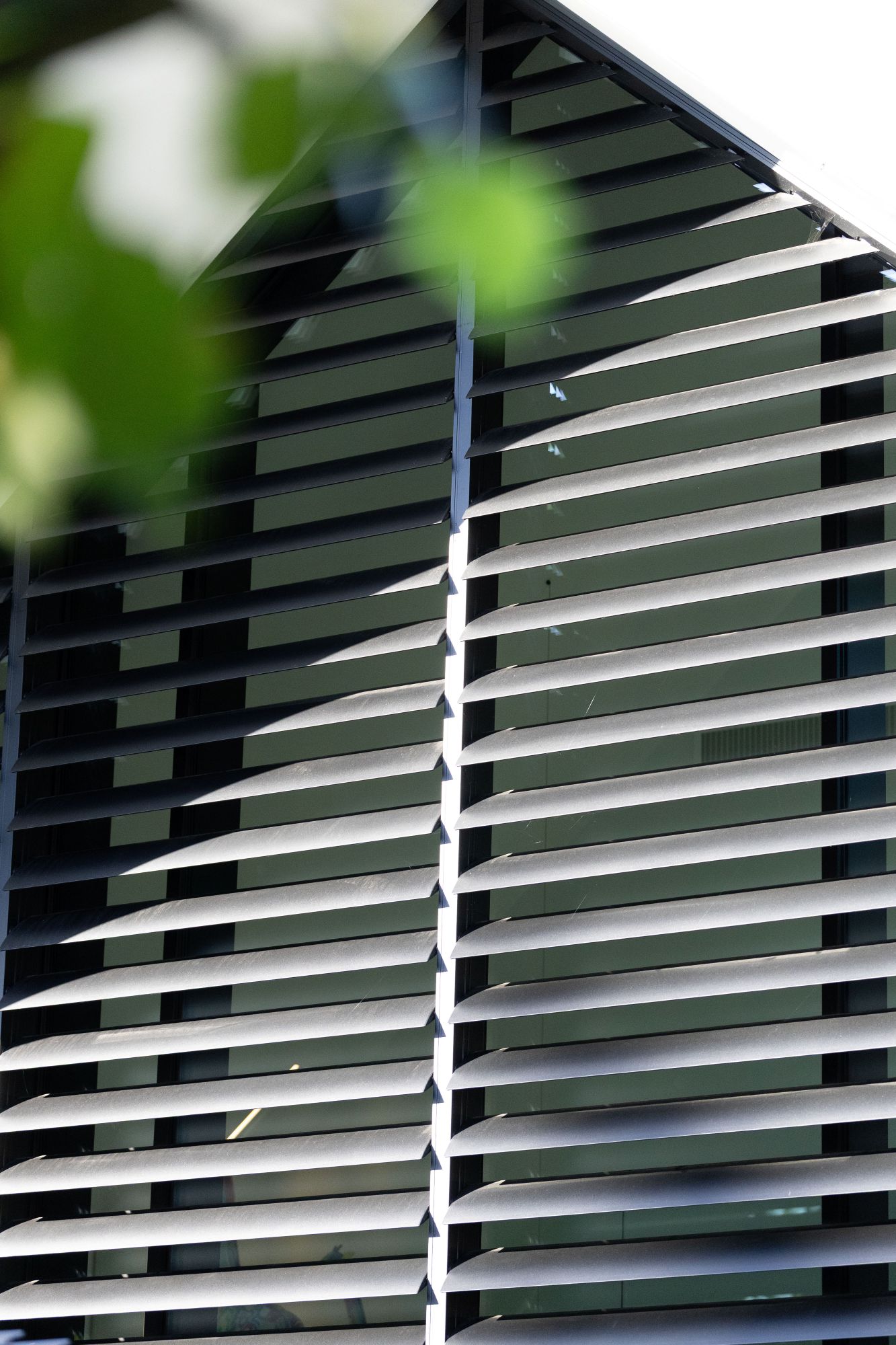 detail shutters
