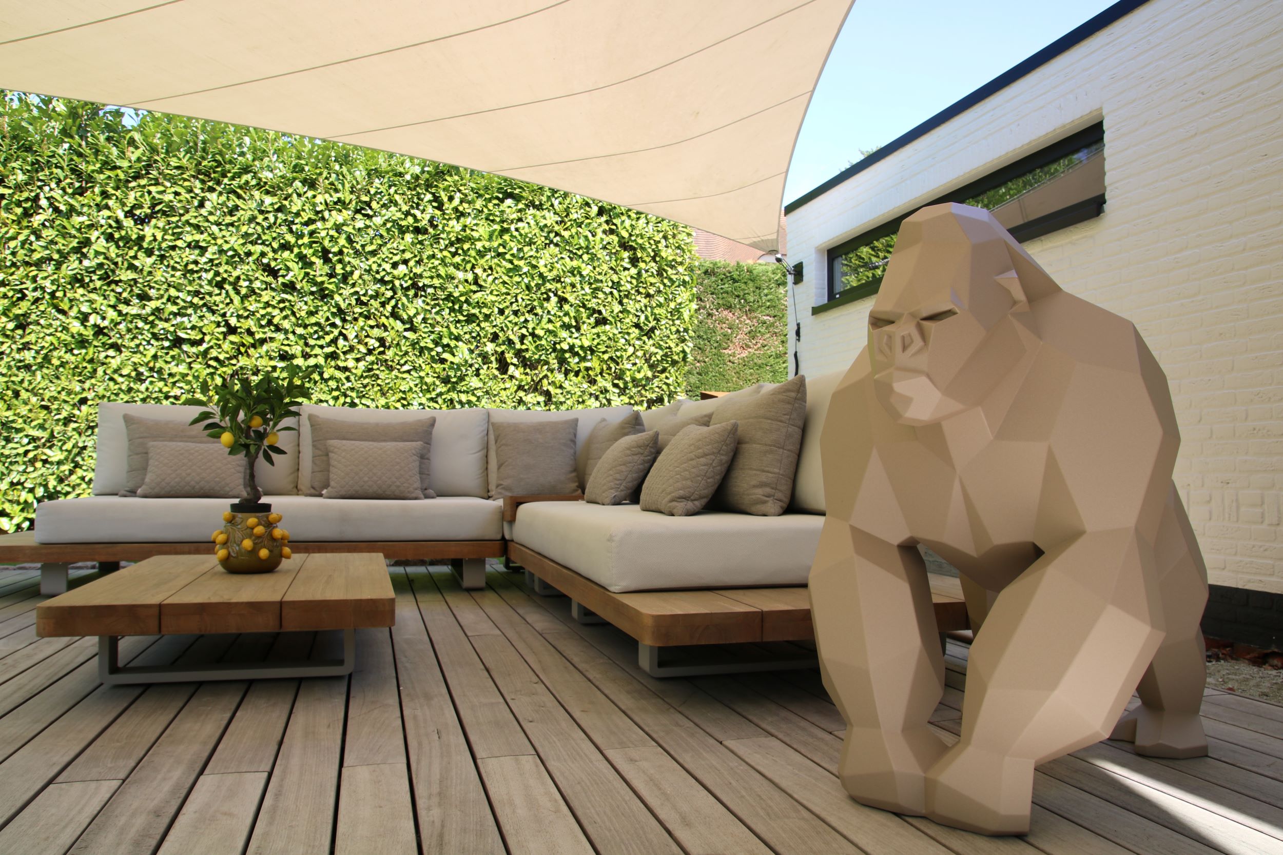 luxe aap op terras