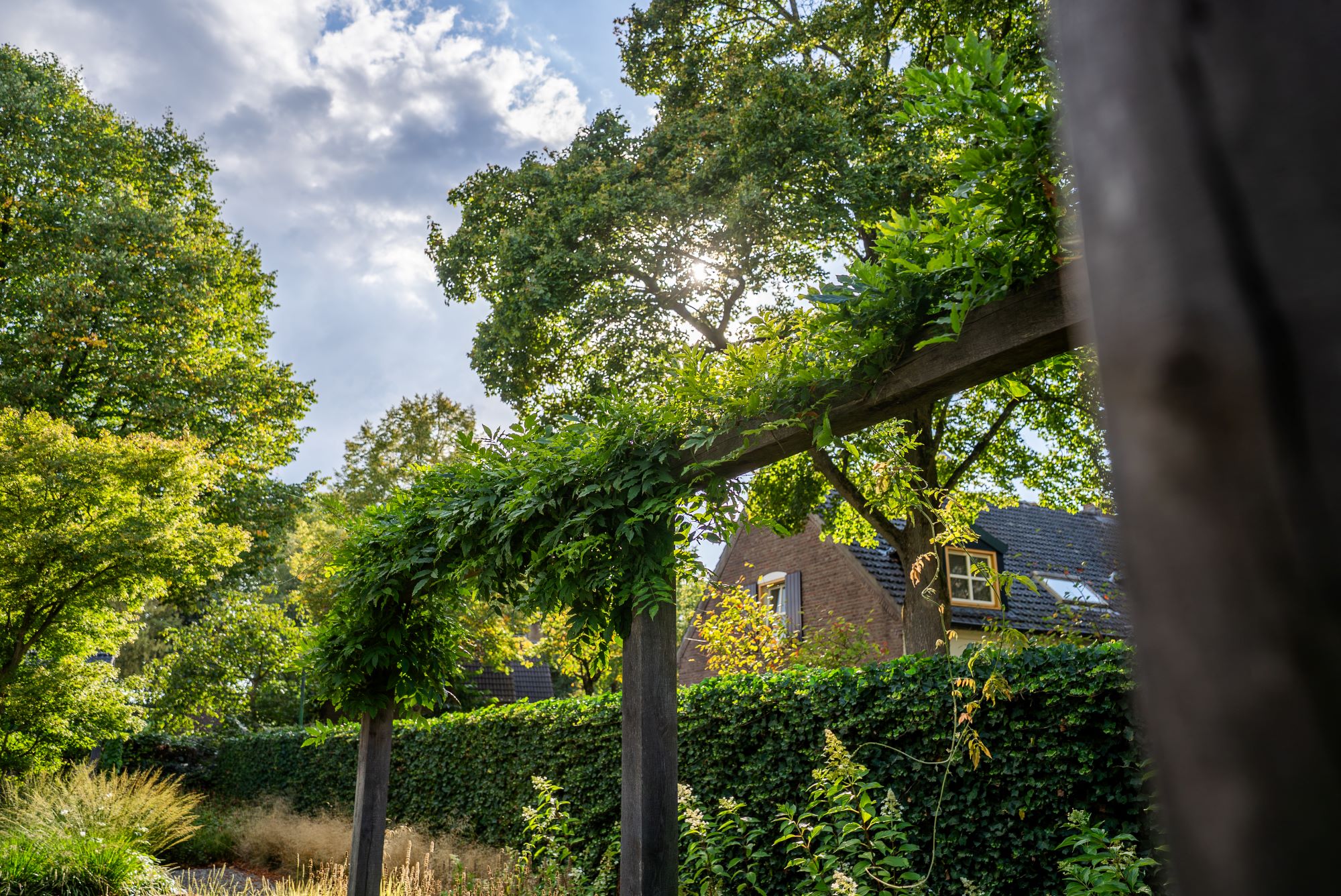 tuin met pergola