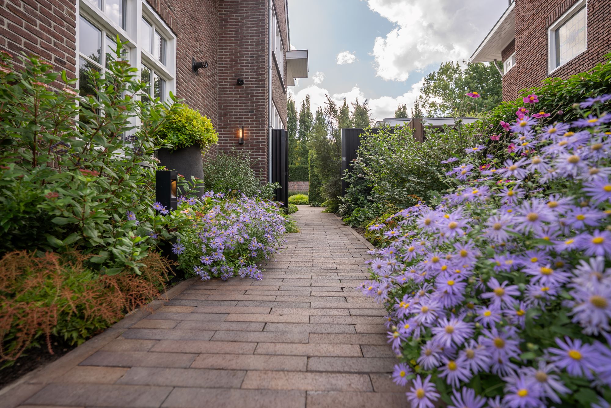 luxe tuindesign
