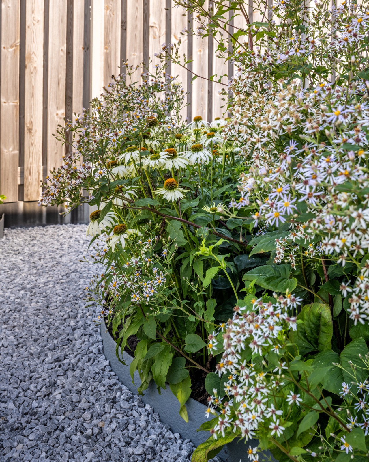 luxe tuin met beplanting