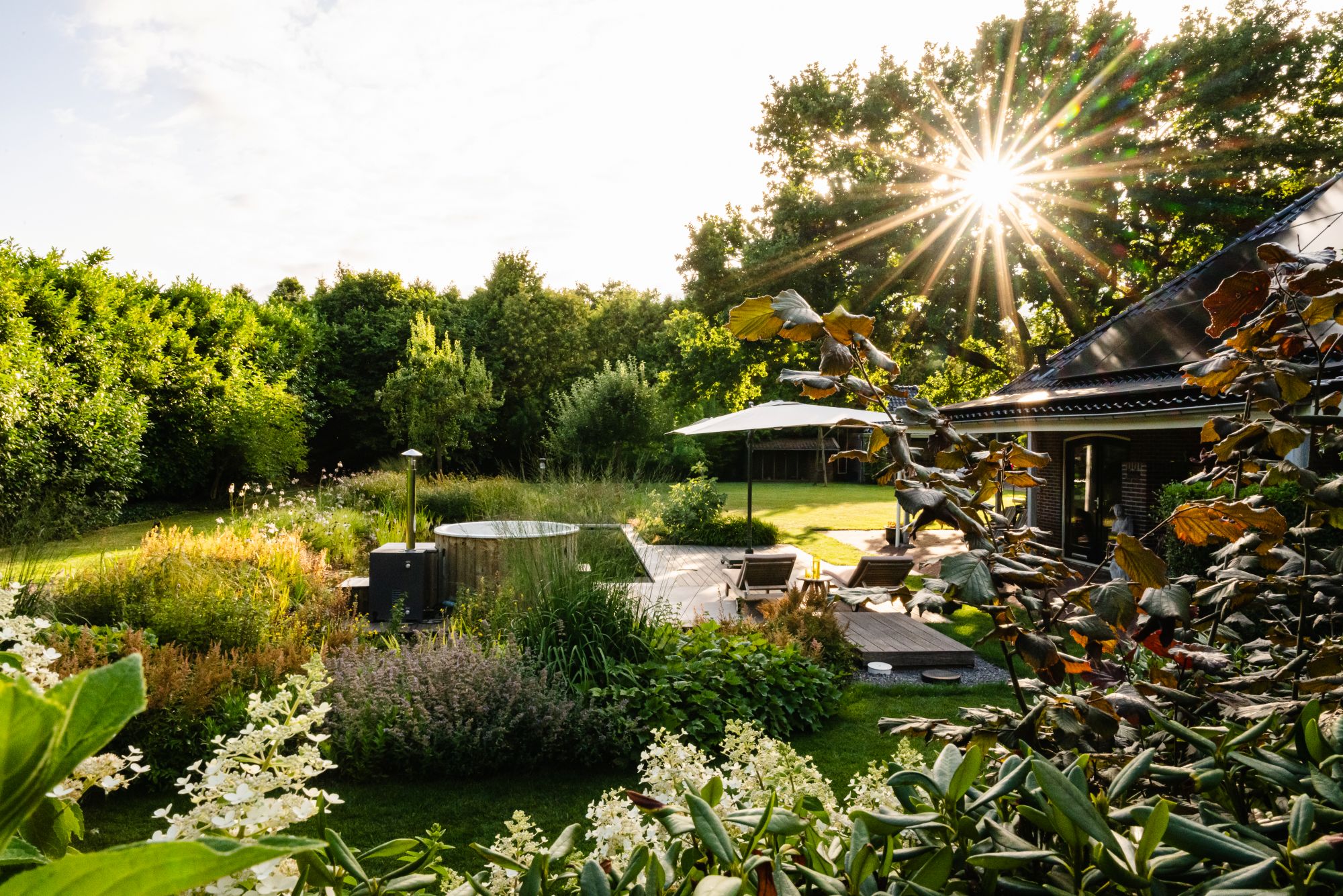 wilderige tuin
