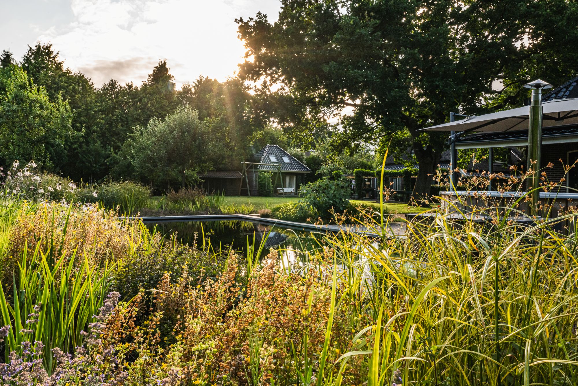 grote groene tuin