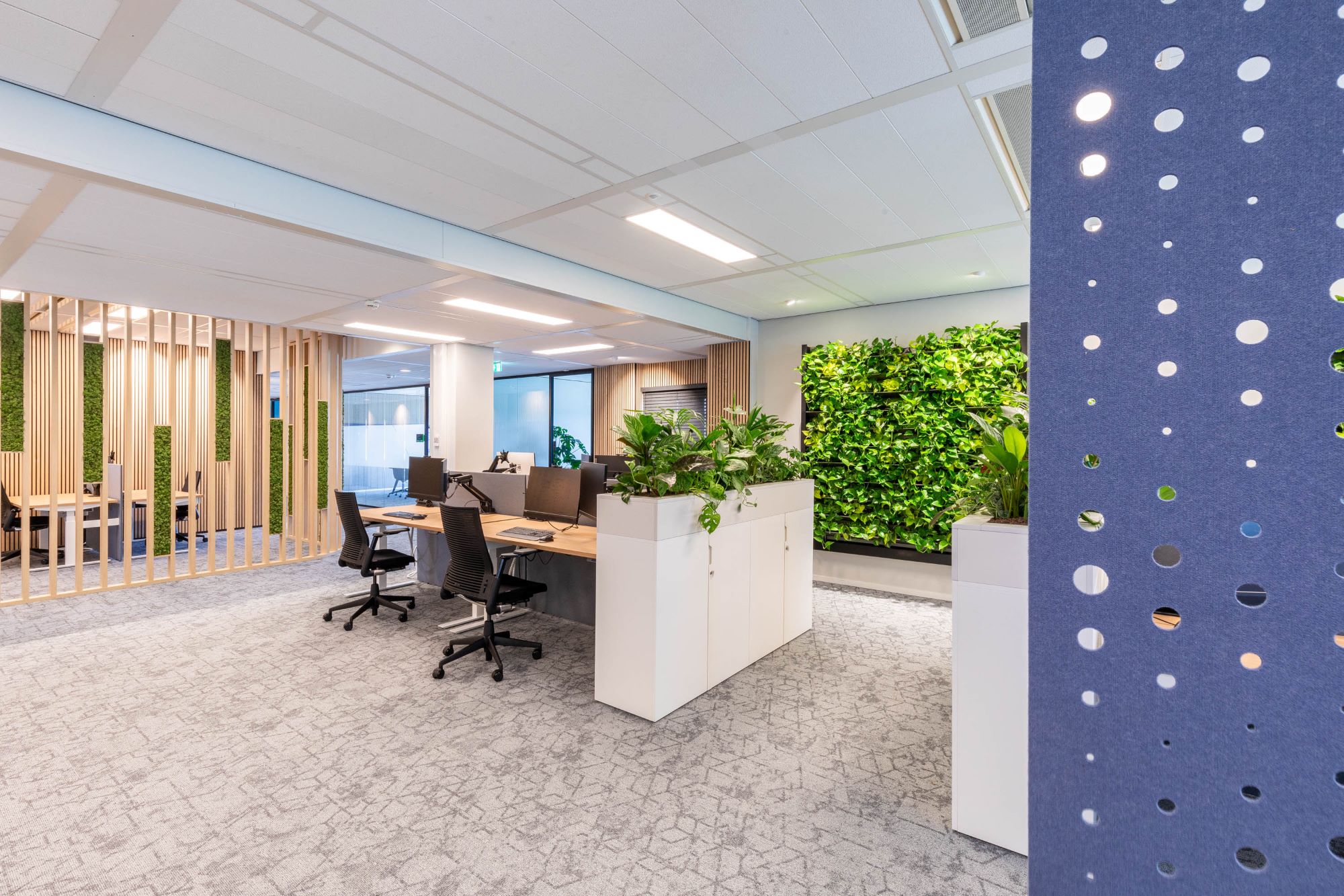 Akoestische panelen op kantoor