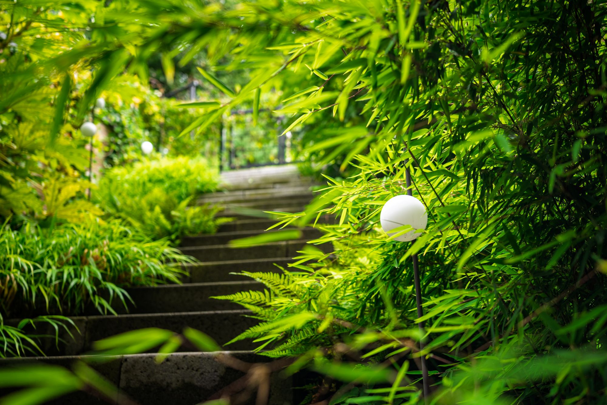 buitentrap met beplanting