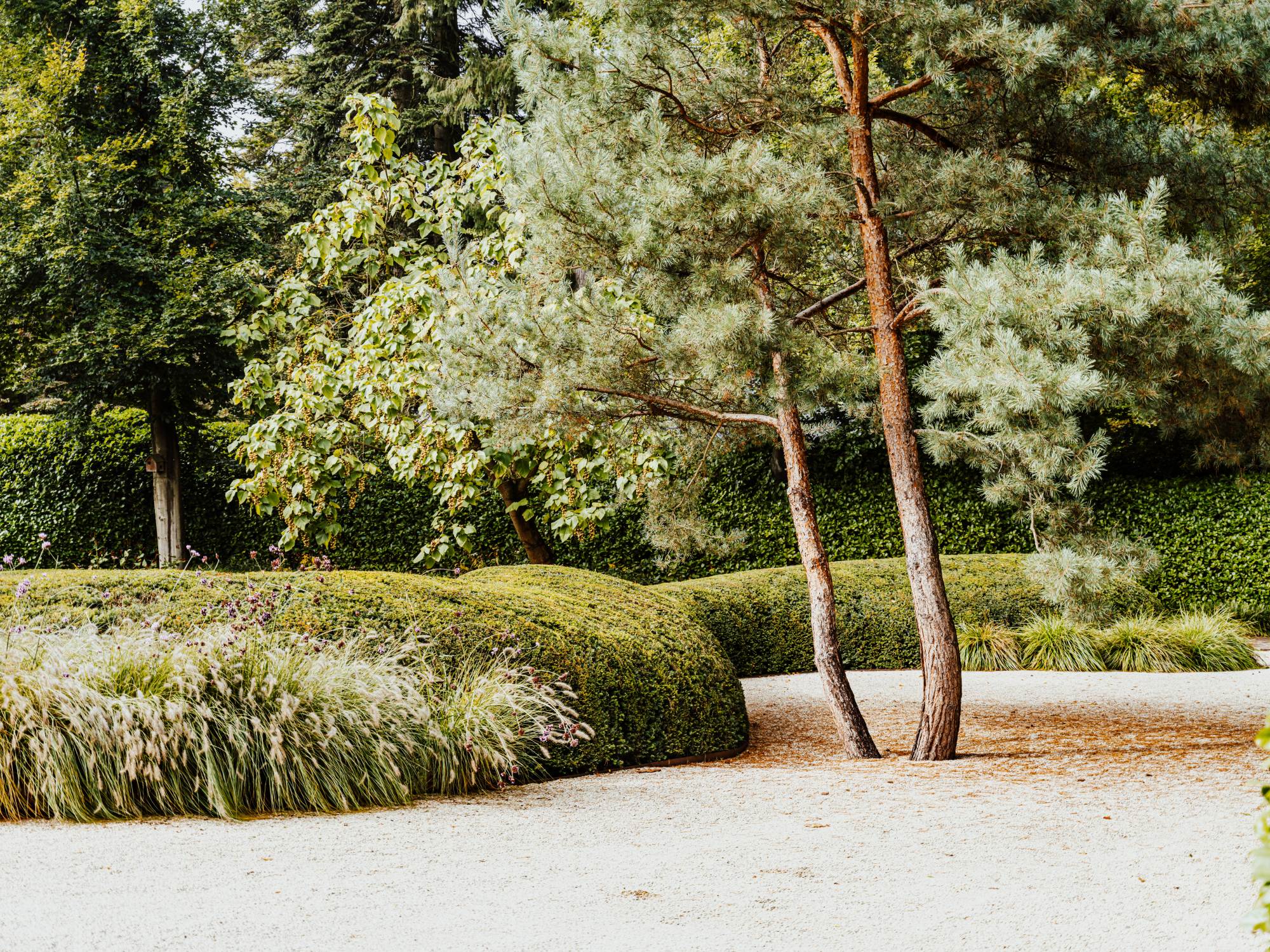 groene beplanting