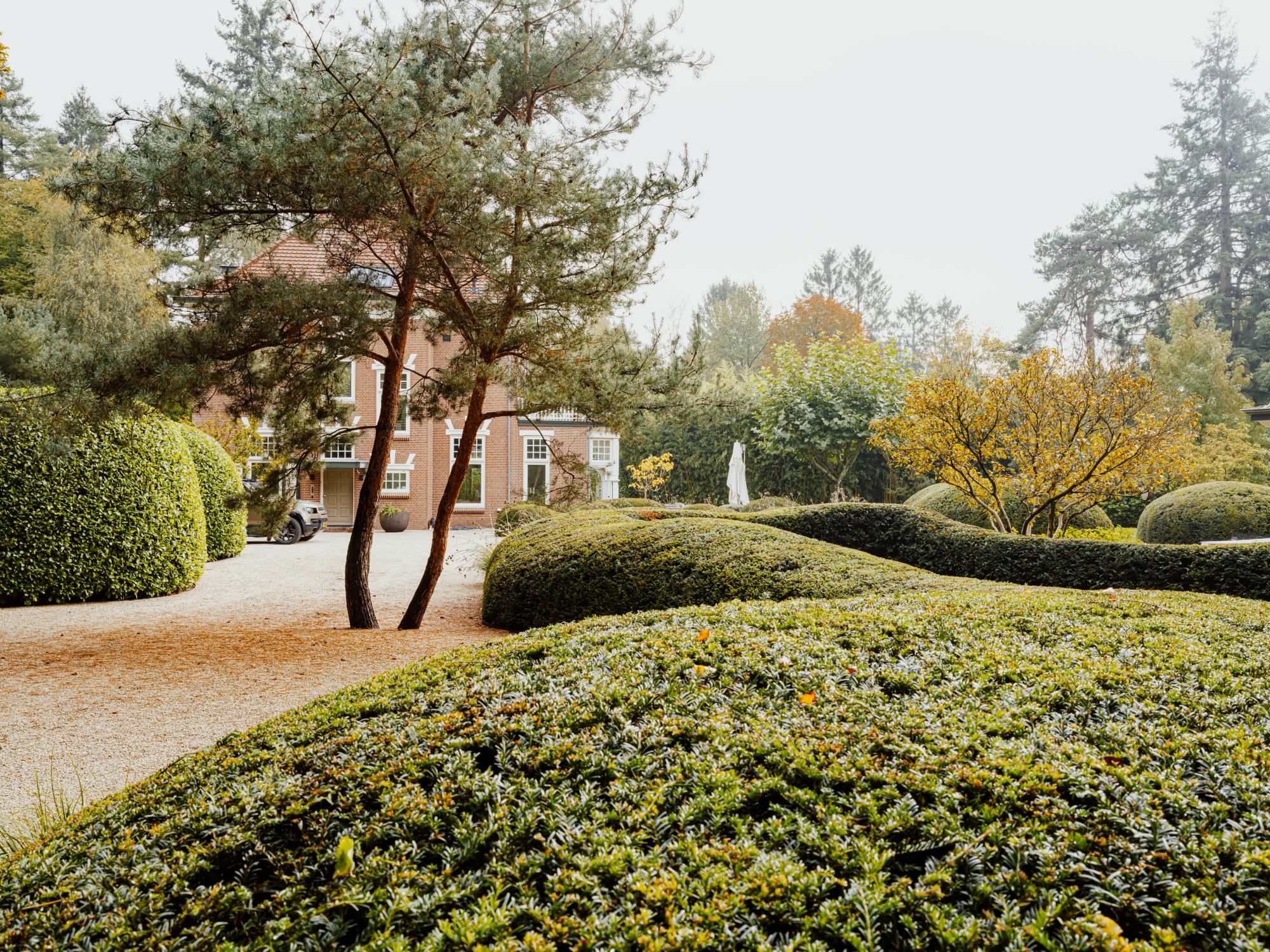 groen in tuin