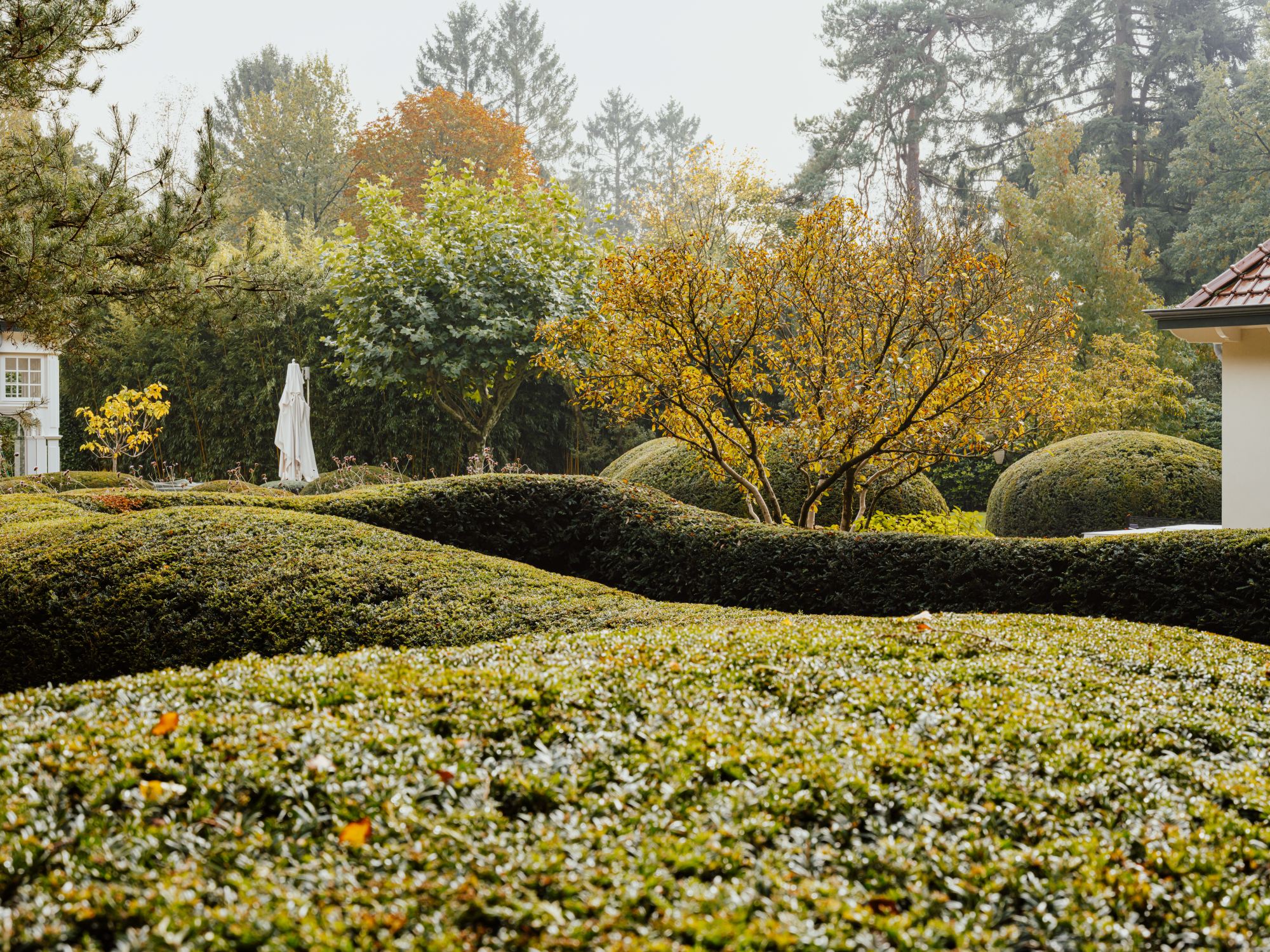 groene hagen