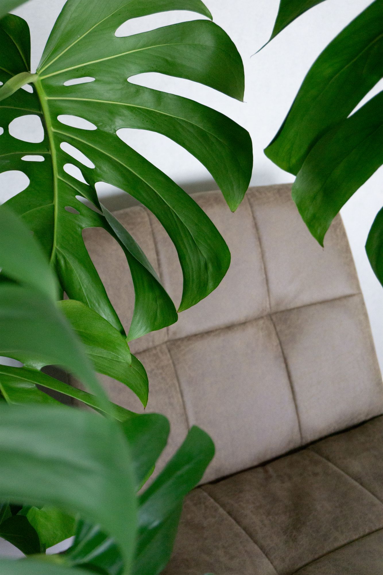detail groen