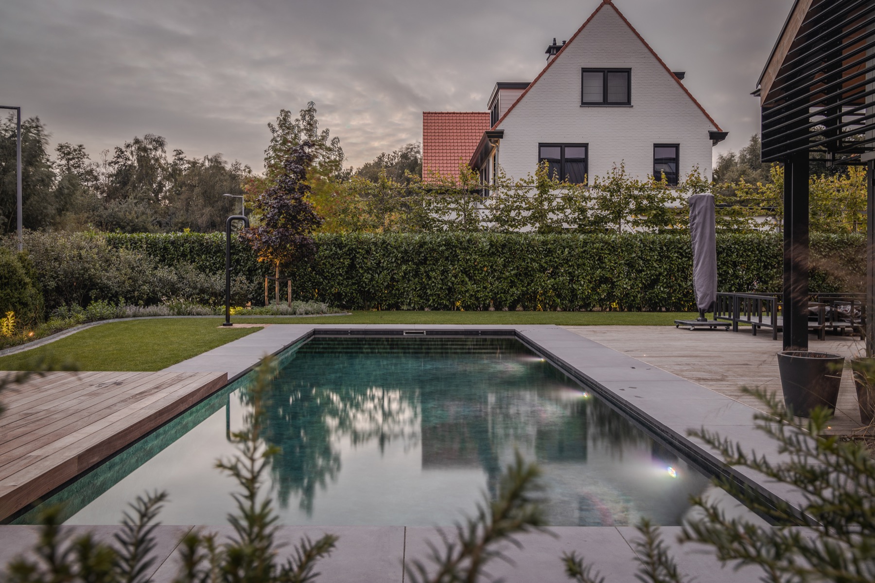 moderne tuin met zwembad