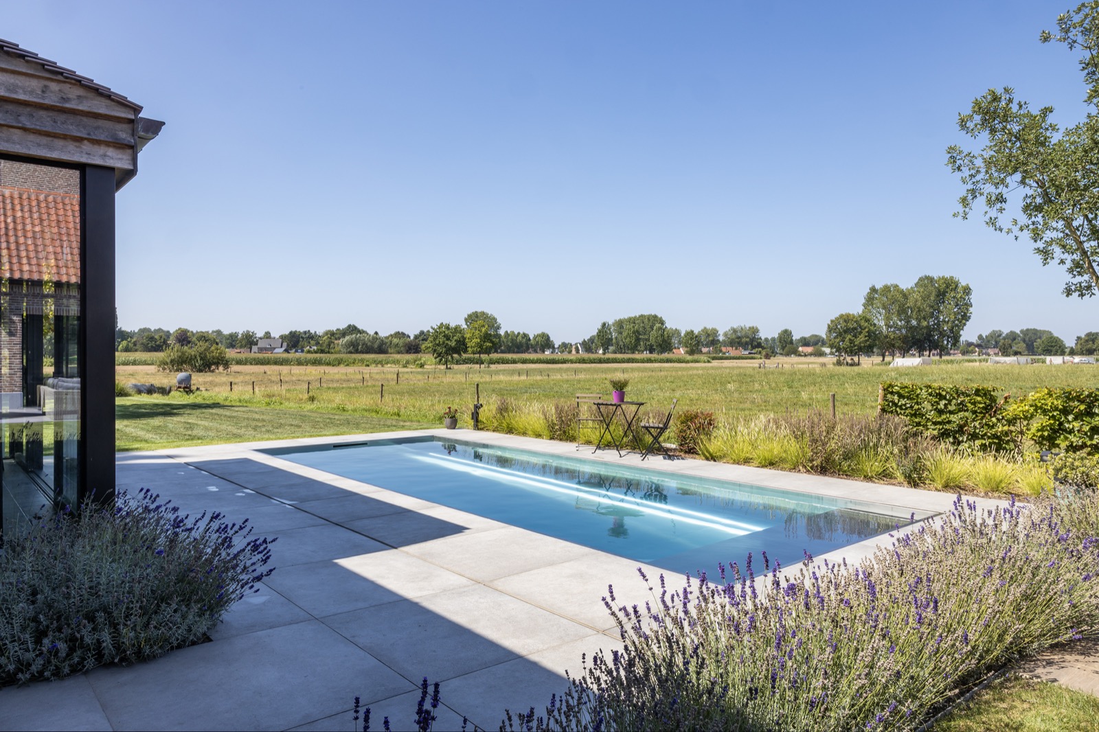 tuin met inox zwembad