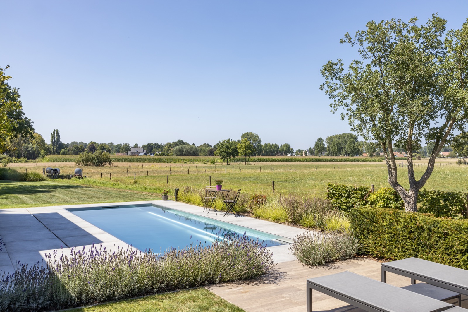 tuin met modern zwembad