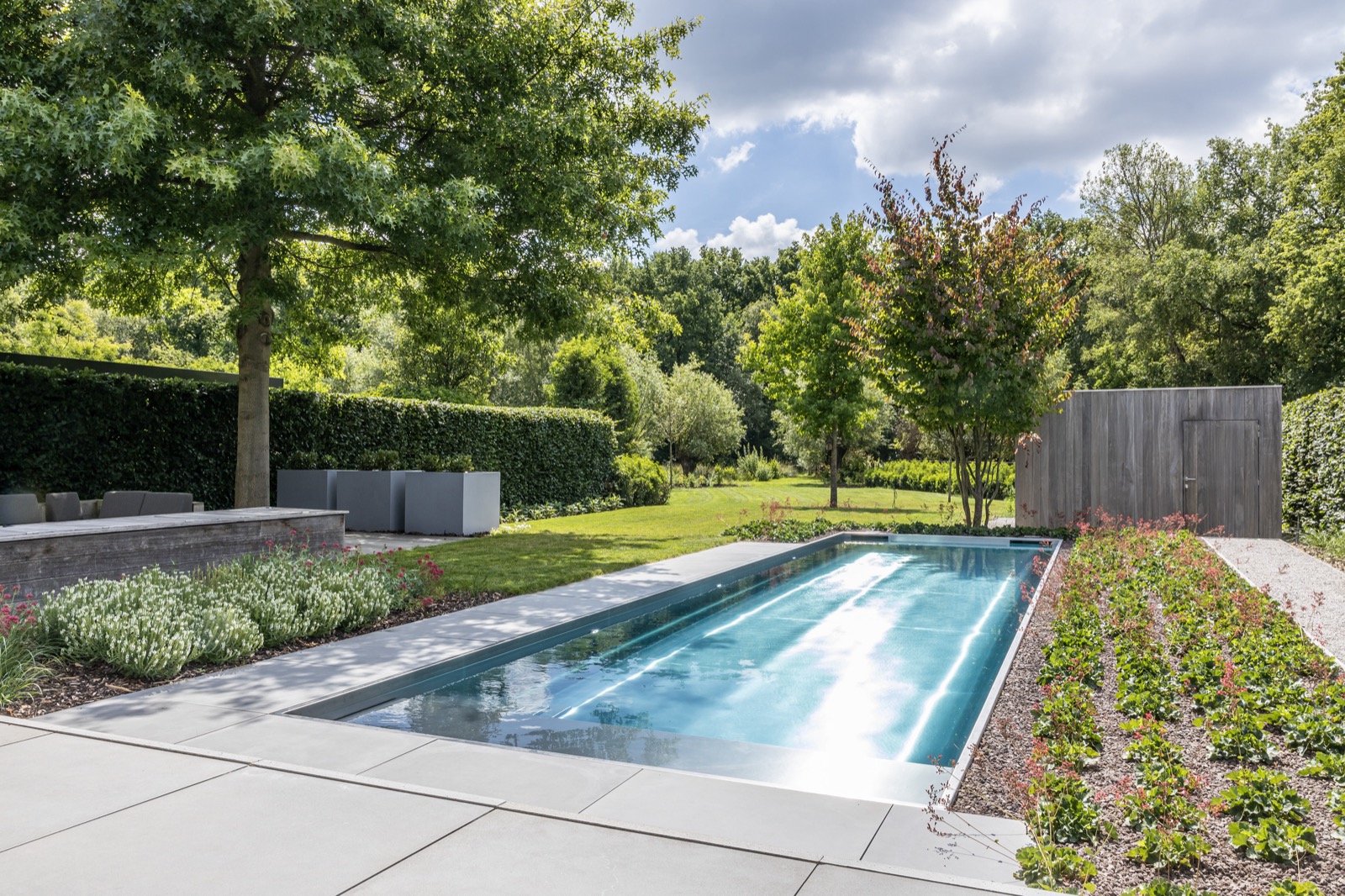 tuin met luxe zwembad