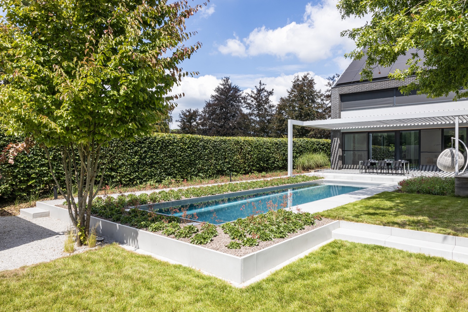 tuin met design zwembad
