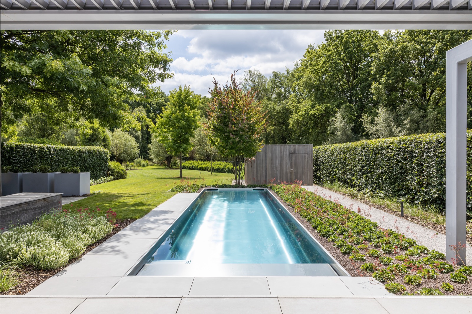 tuin met inox zwembad